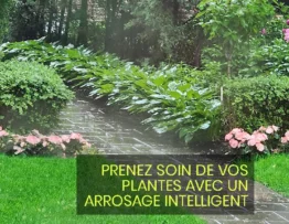 Arrosage efficace des plantes grâce à une technologie d'irrigation de pointe, favorisant la santé des plantes et la conservation de l'eau