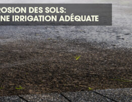 Sol inondé par l'irrigation, provoquant l'érosion.